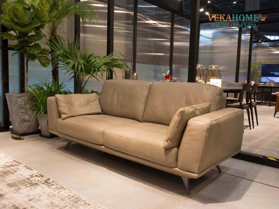 Mẫu sofa phổ biến trên thị trường